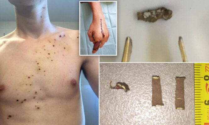 15693080-0-image-a-145_1562371572468